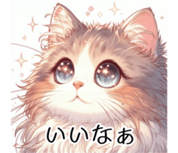 713144645
