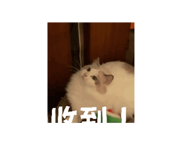 713151579