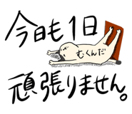 713163564