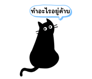713167778