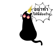 713167794