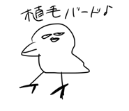713223462