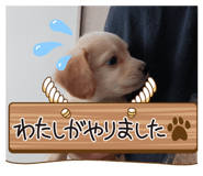713252212