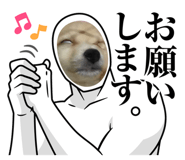 713252213