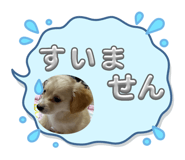 713252224