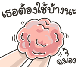 713264531