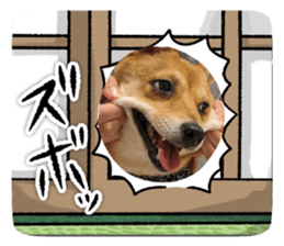 713286815