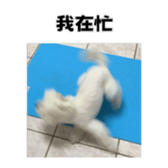 713298908