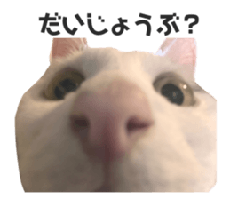 713315393