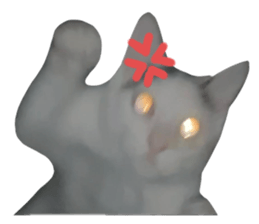713315398