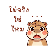 713323138