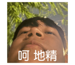 713324353