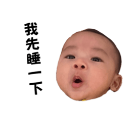 713334137