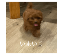713339066