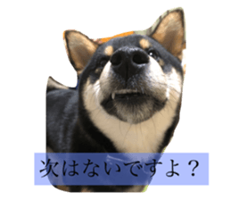 713358808