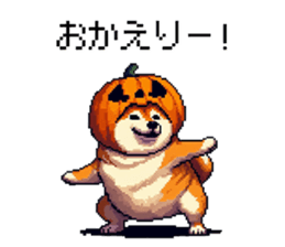 713367562