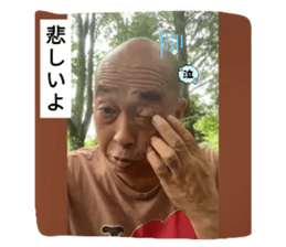 713399226