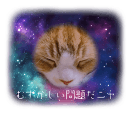 713404623