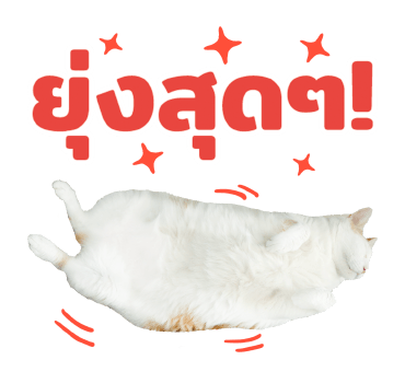 The Fumeancats Life รูปที่ 2