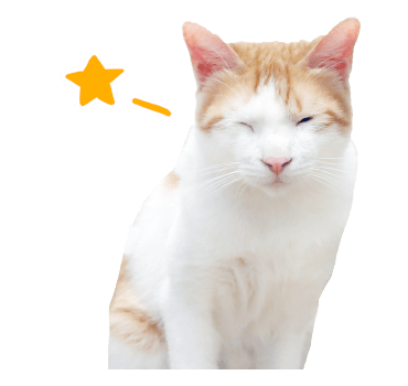 The Fumeancats Life รูปที่ 6