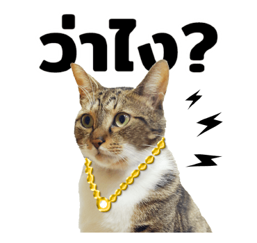The Fumeancats Life รูปที่ 7