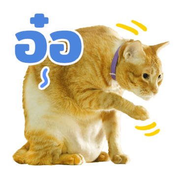 The Fumeancats Life รูปที่ 11