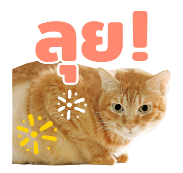 The Fumeancats Life รูปที่ 12