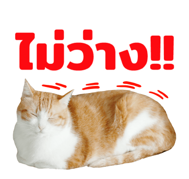 The Fumeancats Life รูปที่ 13