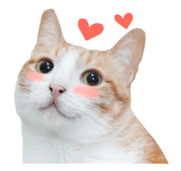 The Fumeancats Life รูปที่ 14