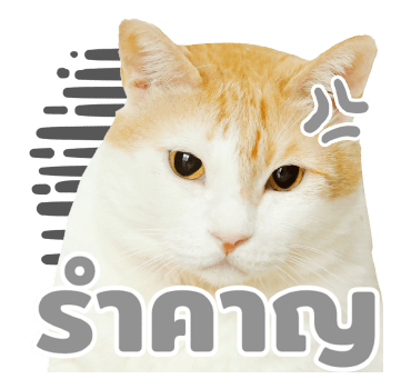 The Fumeancats Life รูปที่ 15