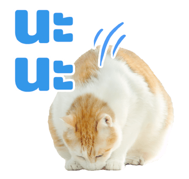 The Fumeancats Life รูปที่ 16