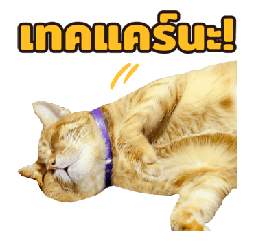 The Fumeancats Life รูปที่ 18