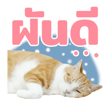 The Fumeancats Life รูปที่ 19