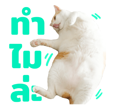 The Fumeancats Life รูปที่ 20