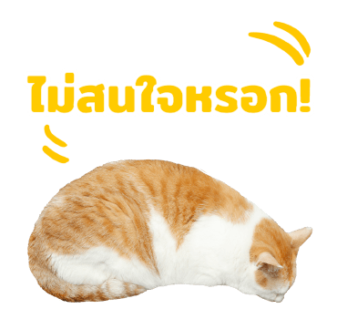 The Fumeancats Life รูปที่ 21