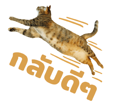 The Fumeancats Life รูปที่ 23