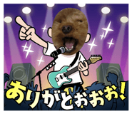 713429543