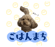 713504329