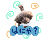 713504330