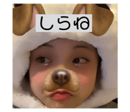 713510428