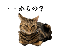 713523261