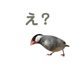 713523766