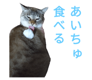 713531568