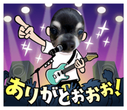 713534945