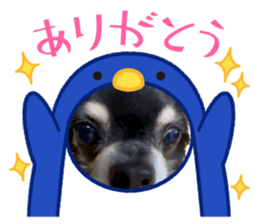 713534946