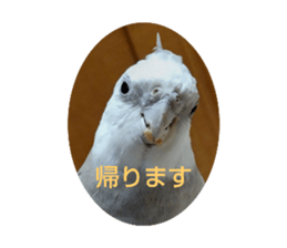713544553