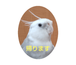 713544557