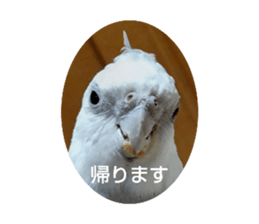 713544558