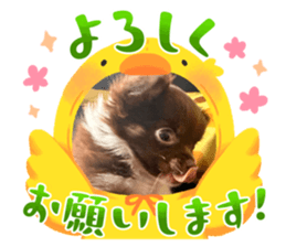 713545307