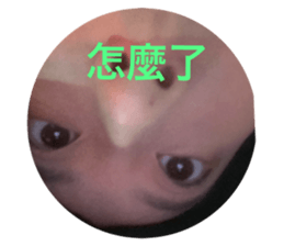 713552571